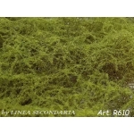 Rovi/Cesp verde chiaro aghifoglie